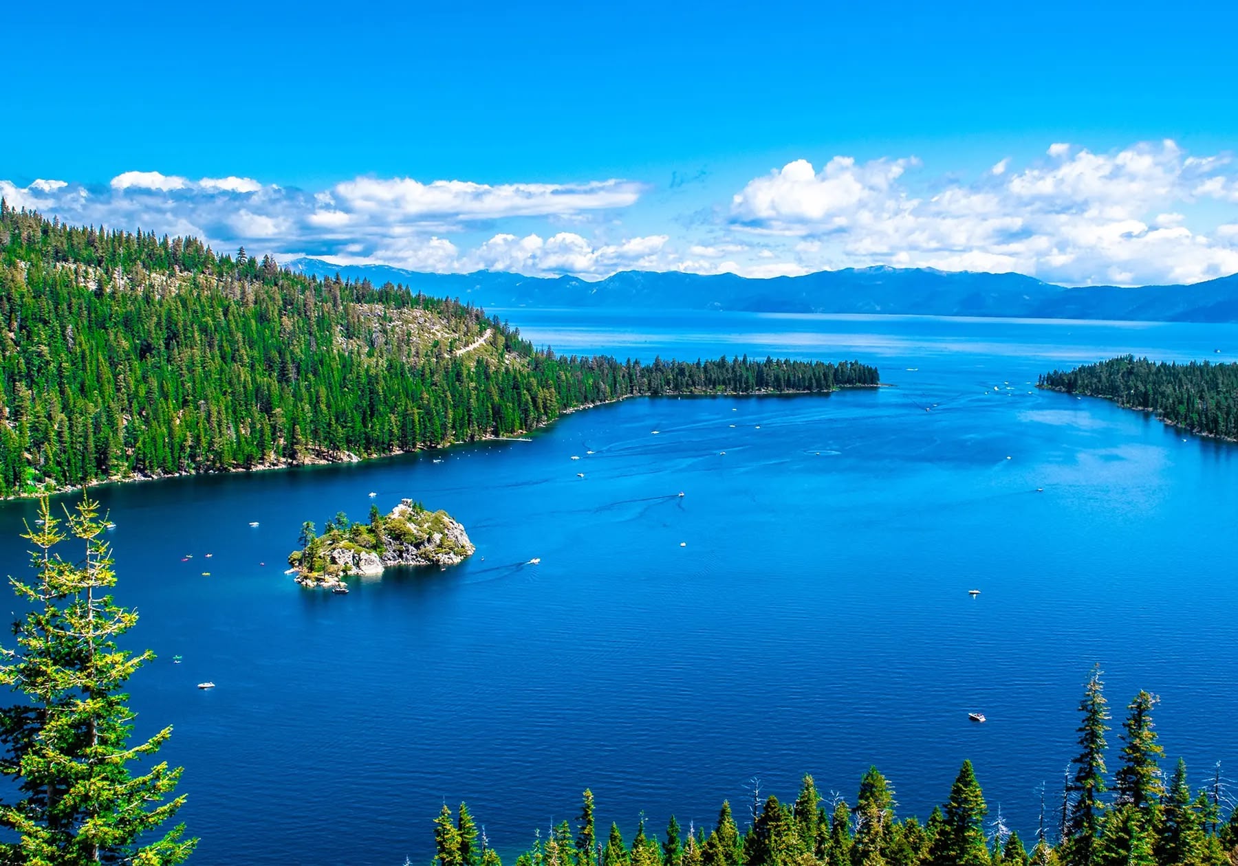 cropped-edited-AdobeStock_222551404